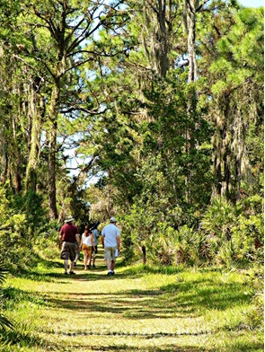 Cracking Out of Our Eggs